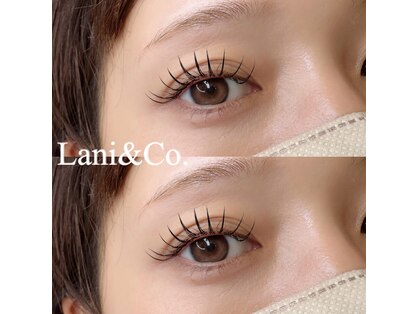 ラニ(Lani)の写真