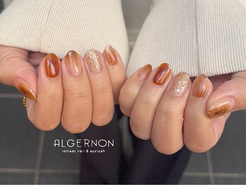 アルジャーノン リトリート(ALGERNON retreat)/ブラウンネイル