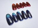 定額　6,000円コース