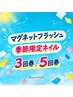 【回数券】マグネットorフラッシュワンカラー、季節限定ネイル