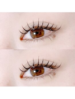 アウリー バイ ランズ(AULII by lands)/フラットラッシュ140本