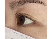 ペルシャ(Persian)/お客様デザイン（担当:宮井）