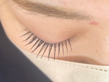 イアラ(era.)/最高級フラットマットラッシュ