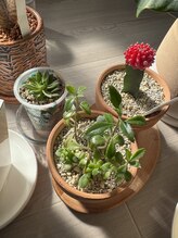 ムー(Mou)/がんばれ！多肉ちゃん☆