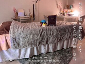 ステラ(STELLA)/都会の騒音から離れて自分時間を