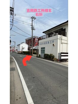 グリーンドロップ(Green Drop)/次はフォトギャラリー3枚目から