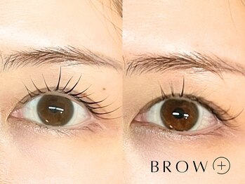 ブロウタス 新丸子店(BROW+)/まつげパーマ