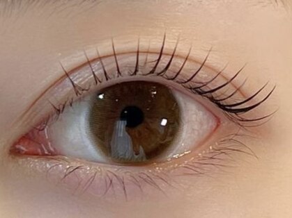 ラッシュ(LASH)の写真