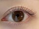 ラッシュ(LASH)の写真