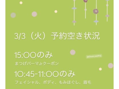 シードリン(Seedling)の写真