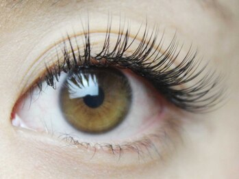 ラッシュワン 四条店(Lash One)/■まつ毛エクステ