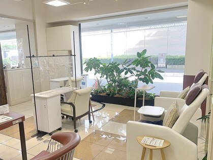 春日部駅のジェルネイルが人気のネイルサロン 口コミ人気ランキング ホットペッパービューティー