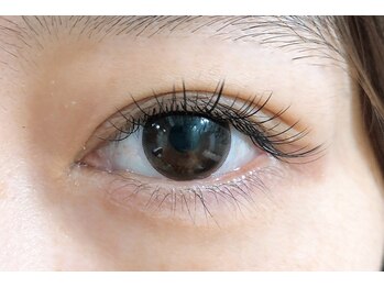 アールアール アイラッシュ(R.R Eyelash)/Naturalフラットラッシュ80本＊