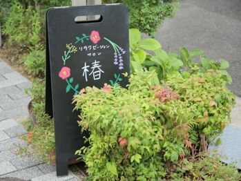 リラクゼーションサロン 椿/リラクゼーションサロン椿