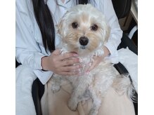 ギャラリー(Gallery)