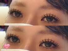 リトル(Little)/ダブルフラット120束(240本)