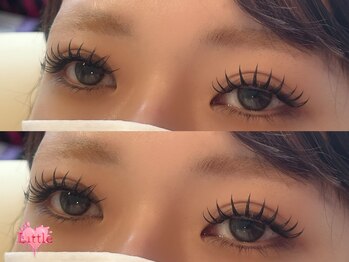 リトル(Little)/ダブルフラット120束(240本)