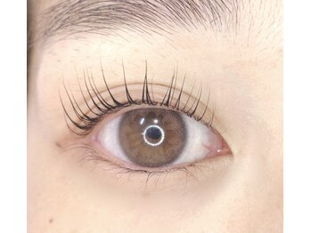 シュシュ(chou chou)/【パリジェンヌラッシュリフト】