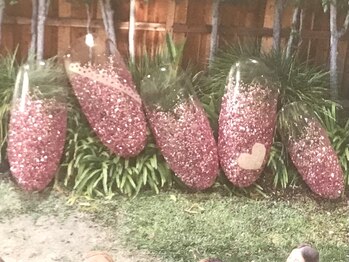 ビューティーネイルサロン クリアーズ(Clears)/ピンクラメのグラデーション