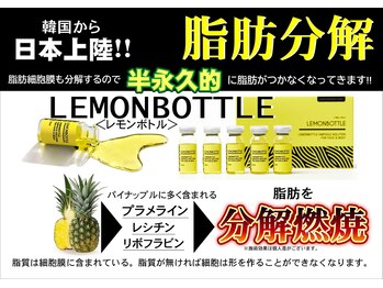 サロンフィーユ(Fille)/エビデンス有り◎