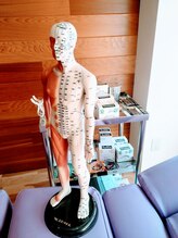 エムズ ファミリア あざみ野(M‘s Familia)/経穴人形～ミスターM～