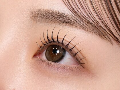ランジュ(L'ange)の写真