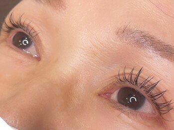 サラ デ ミレ(Sala de milae)/フラットラッシュ100本