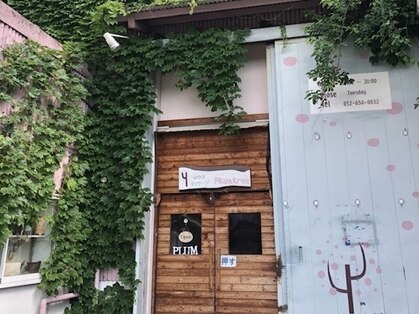 プラムツリーの写真