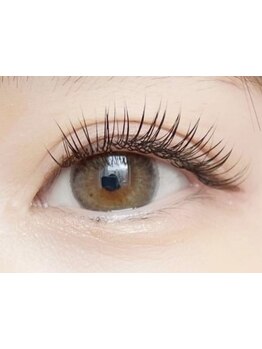 エクステの種類が豊富