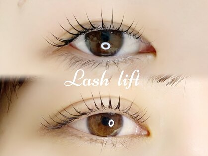 フウ(Fuu)の写真