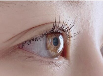 ラッシュ(LASH)の写真