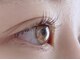 ラッシュ(LASH)の写真
