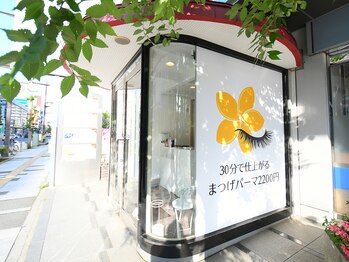 プルメリアラッシュ 越谷店(PlumeriaLash)/Plumeria Lash 越谷店