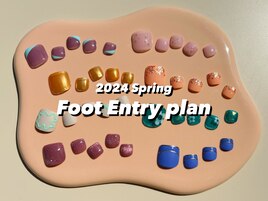 Foot Entry plan