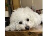 GW疲れたでしょうクーポン