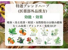 ヨサパーク リボーン(YOSA PARK Reborn)/１１種類の特選漢方ブレンド