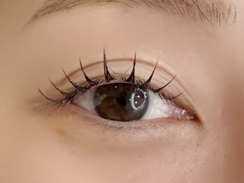 ブランシュ(Blanche)/フラットラッシュ120