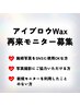 【再来】モニター様募集☆アイブロウWax