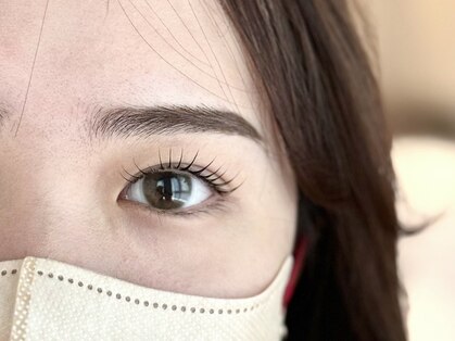 リビング(LIVING)の写真