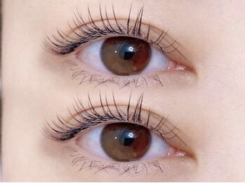 シールーム(Sea Room)の写真/【脅威のモチで高リピ率!!フラットラッシュバインドロック】まつ毛の負担を最小限に少ない本数でふさふさ☆