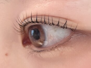 ビビ マウリ(美美 mauli)/パリジェンヌ＋ブラックティント