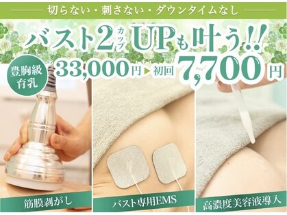 美人バスト 赤羽店の写真