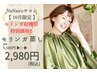 《10月限定》モリンガ収穫祭特別価格【モリンガ蒸し40分】 ￥ 5500→￥2980