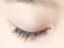 ラウル(Laul by Eye Candy)/フラットラッシュ120本 マツエク