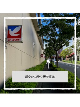 リリー タマプラーザ(Lily Tamaplaza)/道案内