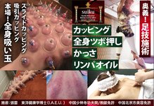 スイクウ ネオ(neo)