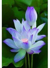 手ごころ 一番街店&nbsp;ファブロ 