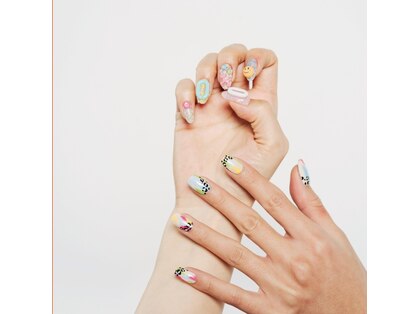 リノ(rino)の写真