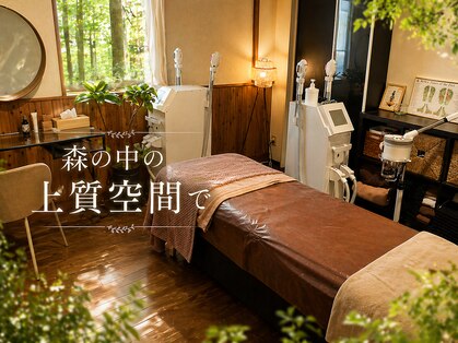 ビエストラ(Biestora)の写真