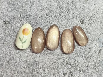 [チューリップ]New magnet color